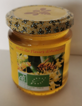 Miel d’acacia bio – très clair, goût doux et liquide, récolté dans le Morvan