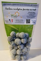 Bonbons Eucalyptus Miel