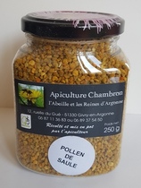 Pollen frais de fleurs de saule – récolté en France, riche en protéines et ferments lactiques